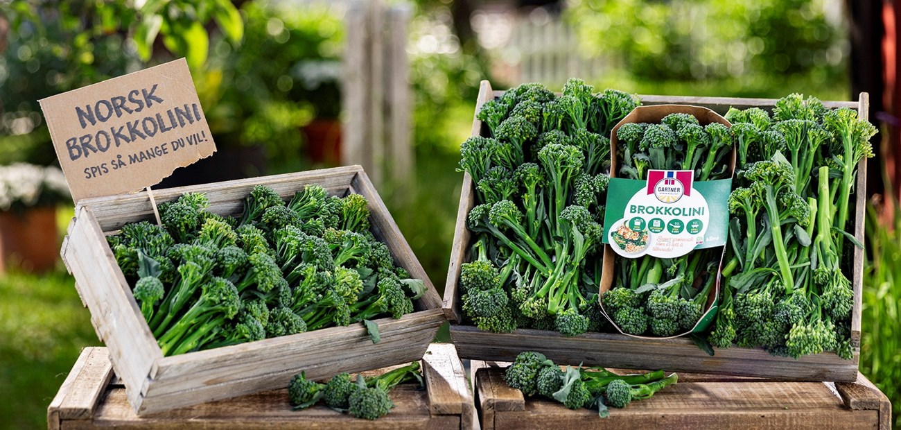 Nå er den norske brokkolinien her