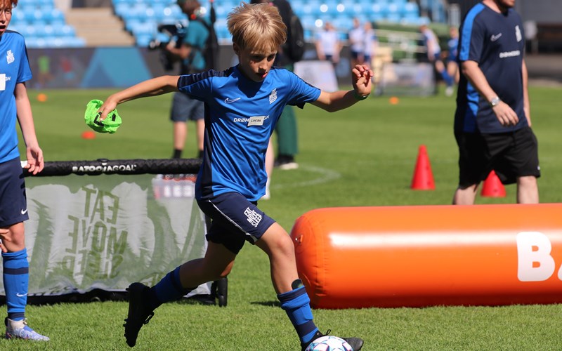 Hva er en KIWI BAMA-CUP?