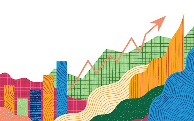 Financial Statements