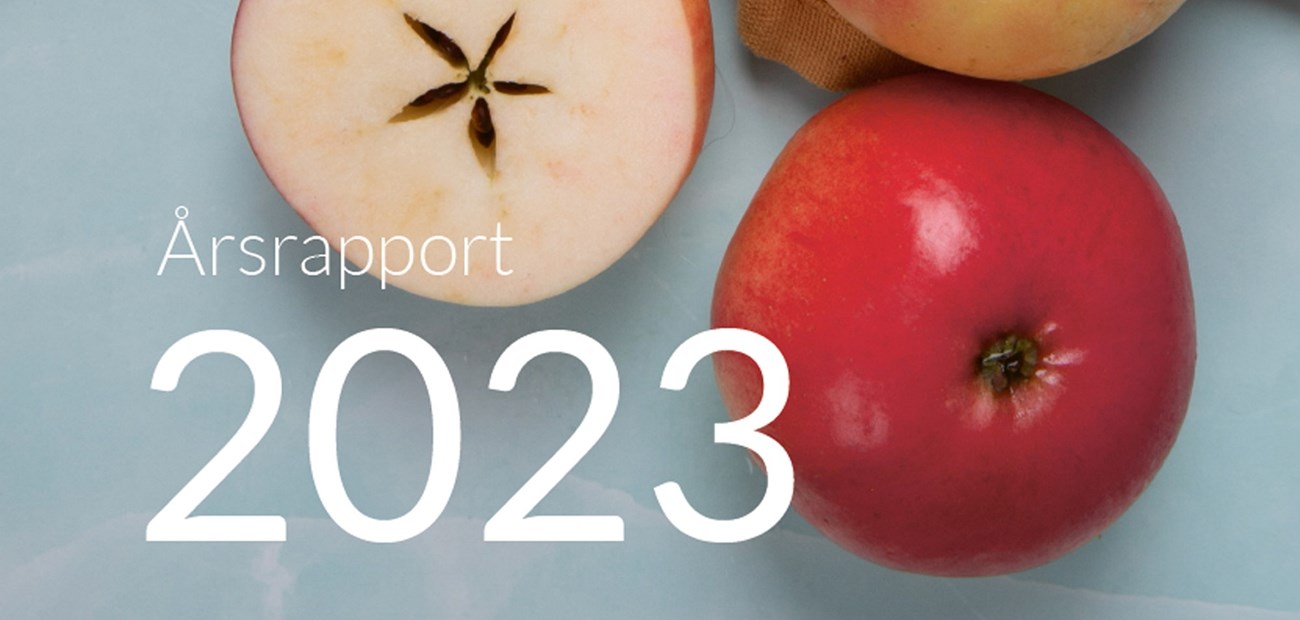 Her er årsrapporten for 2023