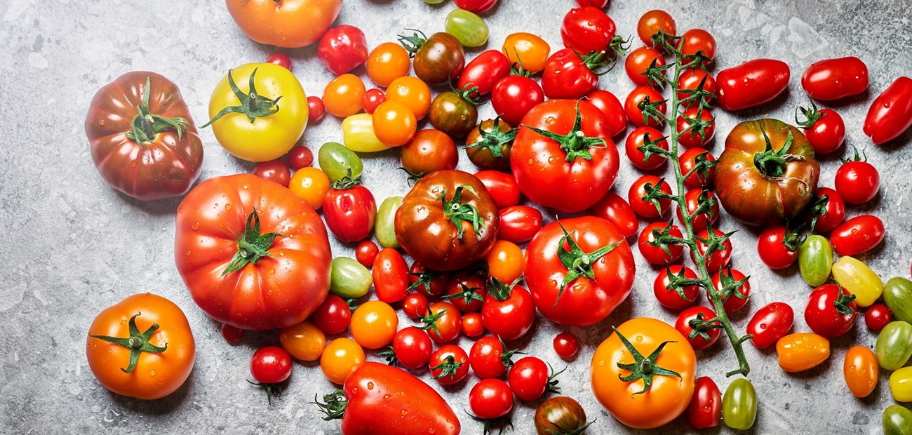 Teknologi møter verdiskapning  