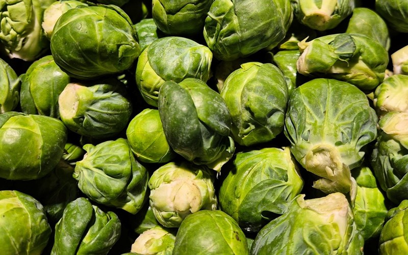 Skrekkbeskjed til alle barn!