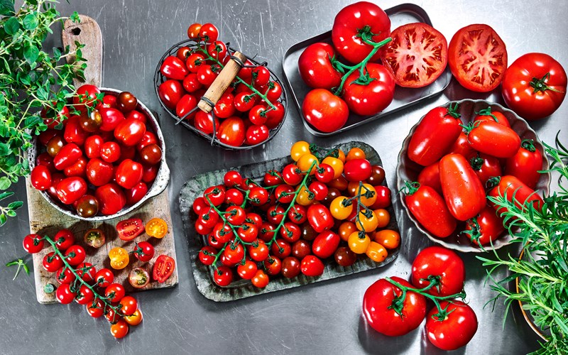 Tomat er ikke bare tomat