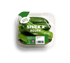 Mini-agurker