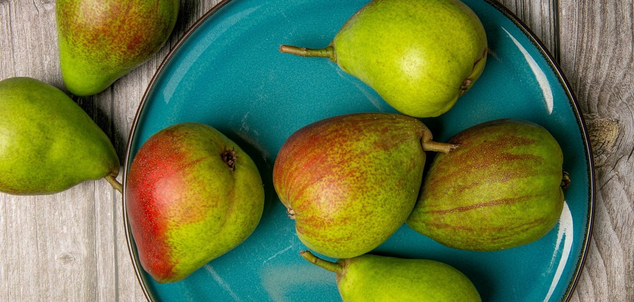 Her er årsrapporten for 2024