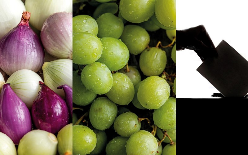 Løk, druer og demokrati: Slik spiser velgerne parti for parti!