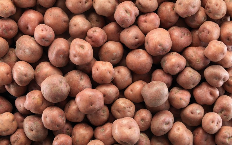 Tredje året på rad uten tradisjonspoteten